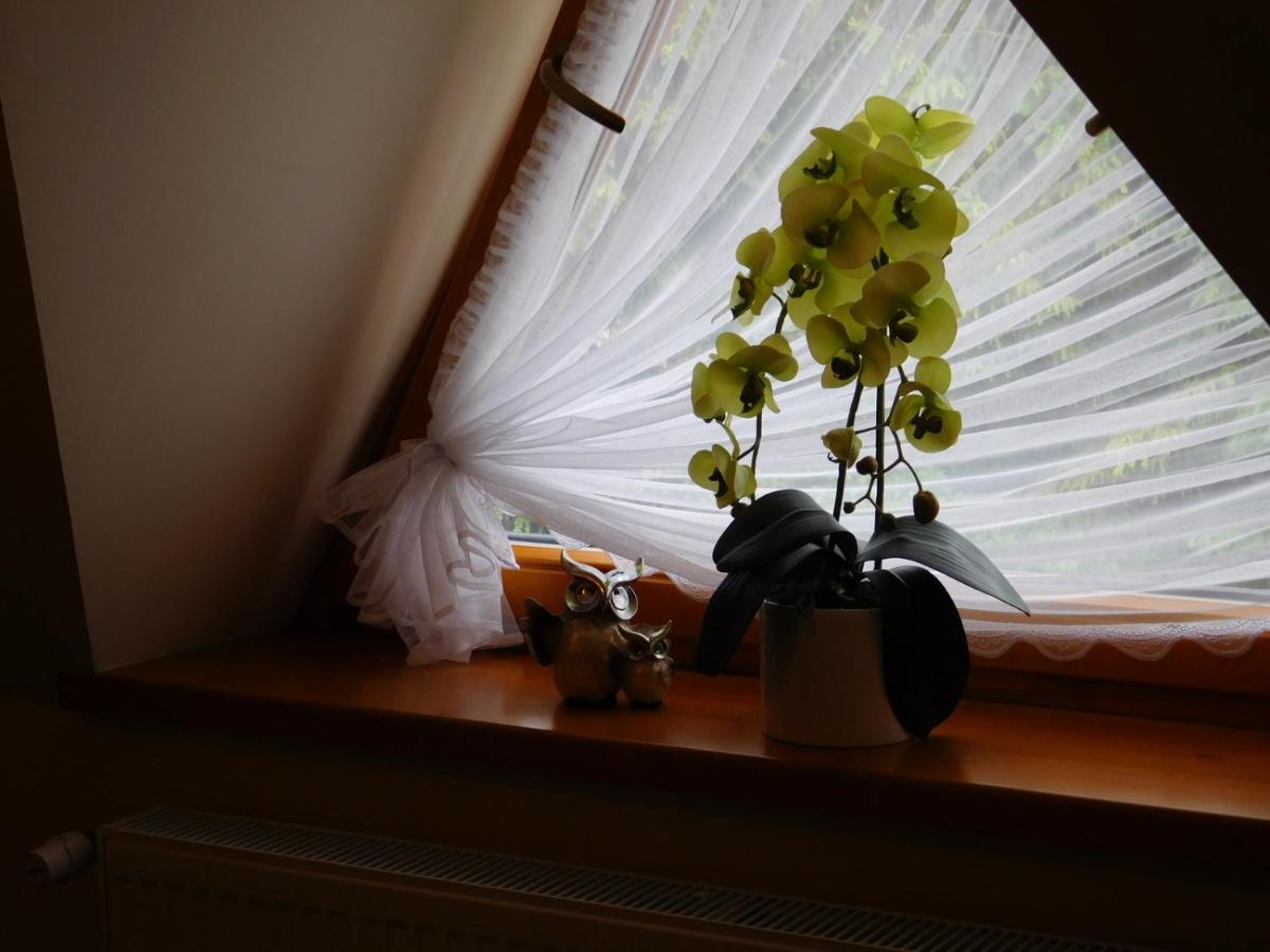 Apartament W Rowni Chochołow Εξωτερικό φωτογραφία